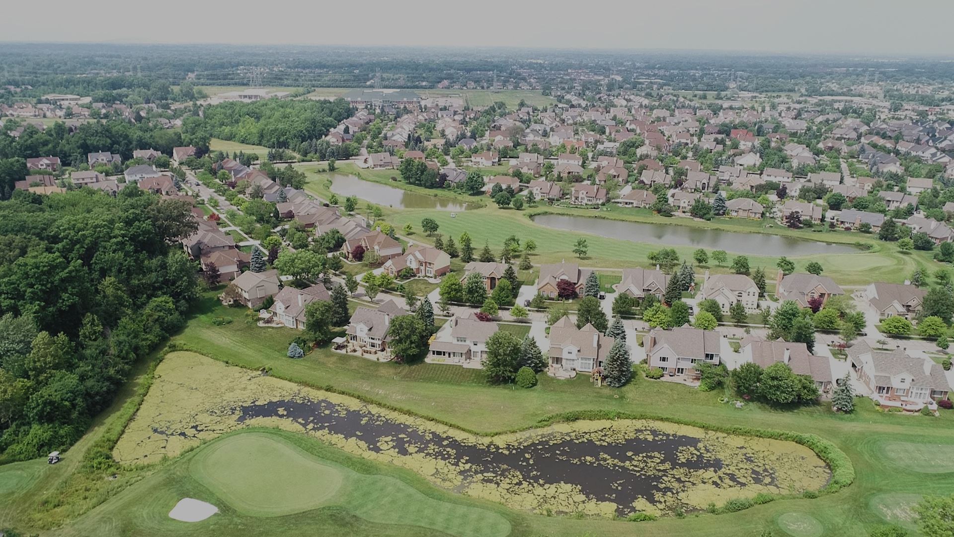 Canton Michigan Real Estate Ahmed Almawri